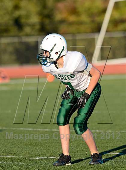 Thumbnail 3 in DeSoto @ Hillsboro photogallery.