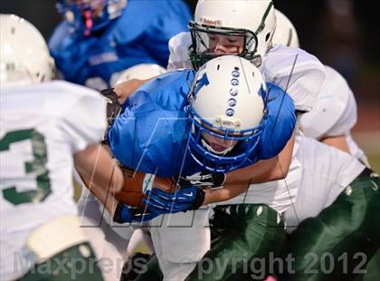 Thumbnail 1 in DeSoto @ Hillsboro photogallery.