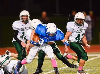 Thumbnail 3 in DeSoto @ Hillsboro photogallery.