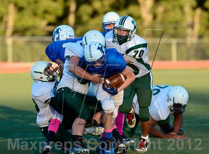 Thumbnail 2 in DeSoto @ Hillsboro photogallery.