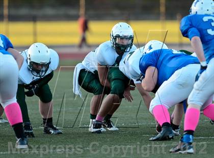 Thumbnail 1 in DeSoto @ Hillsboro photogallery.