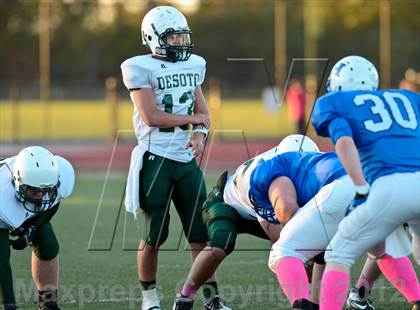 Thumbnail 3 in DeSoto @ Hillsboro photogallery.