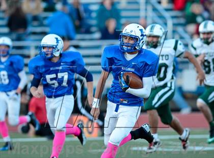 Thumbnail 2 in DeSoto @ Hillsboro photogallery.
