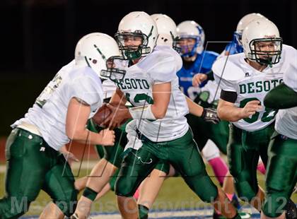 Thumbnail 1 in DeSoto @ Hillsboro photogallery.