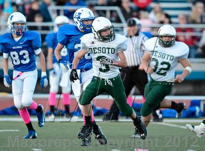 Thumbnail 2 in DeSoto @ Hillsboro photogallery.