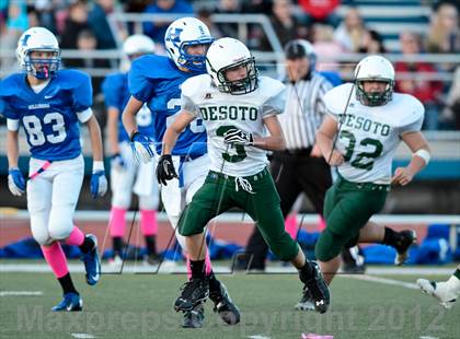 Thumbnail 2 in JV: DeSoto @ Hillsboro photogallery.