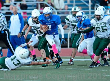 Thumbnail 3 in DeSoto @ Hillsboro photogallery.