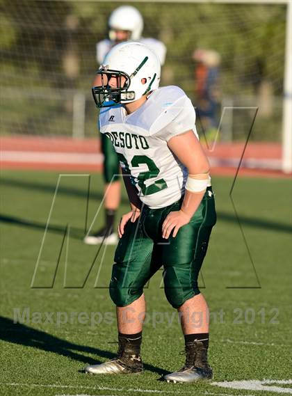 Thumbnail 2 in DeSoto @ Hillsboro photogallery.