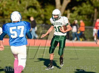Thumbnail 3 in DeSoto @ Hillsboro photogallery.