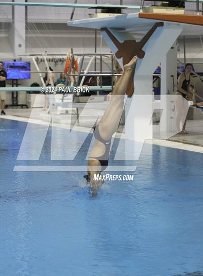 Thumbnail 3 in UIL 5A Swimming and Diving Finals photogallery.
