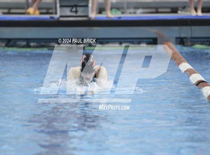 Thumbnail 2 in UIL 5A Swimming and Diving Finals photogallery.