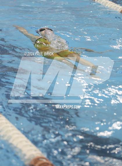 Thumbnail 1 in UIL 5A Swimming and Diving Finals photogallery.