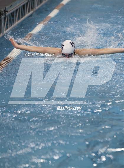 Thumbnail 1 in UIL 5A Swimming and Diving Finals photogallery.