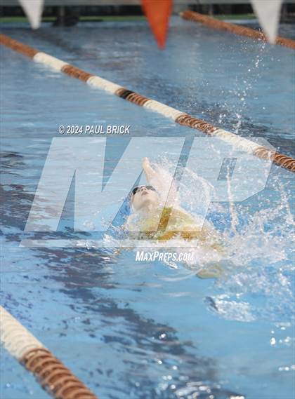 Thumbnail 2 in UIL 5A Swimming and Diving Finals photogallery.