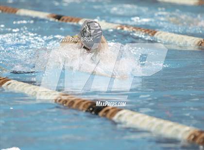 Thumbnail 3 in UIL 5A Swimming and Diving Finals photogallery.