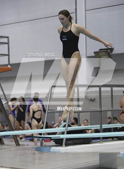 Thumbnail 1 in UIL 5A Swimming and Diving Finals photogallery.