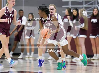 Thumbnail 2 in Palestine vs. Chapel Hill (UIL 4A Bi-District Playoff) photogallery.