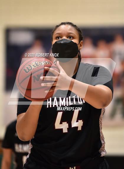 Thumbnail 3 in Hamilton @ Basha photogallery.