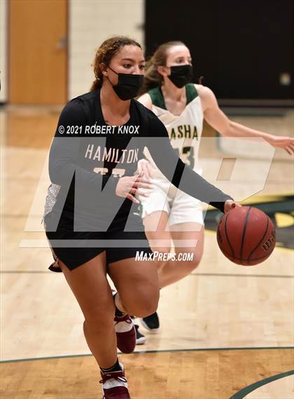 Thumbnail 1 in Hamilton @ Basha photogallery.