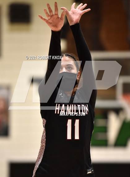 Thumbnail 1 in Hamilton @ Basha photogallery.
