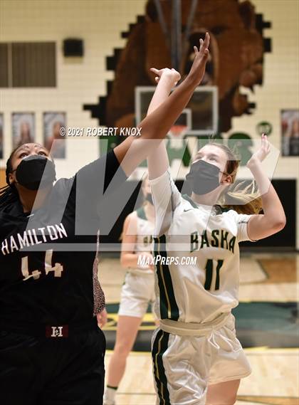 Thumbnail 1 in Hamilton @ Basha photogallery.
