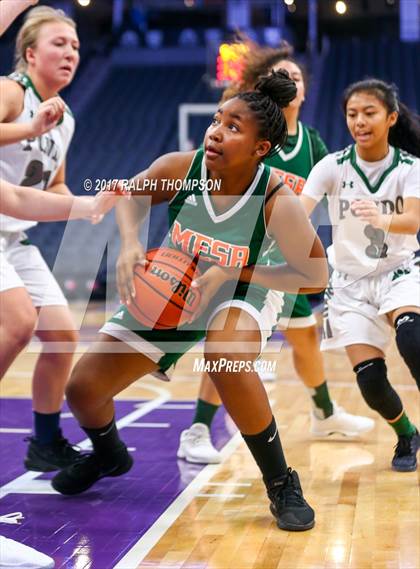 Thumbnail 2 in Mesa Verde vs. Ponderosa (@Golden One Center) photogallery.
