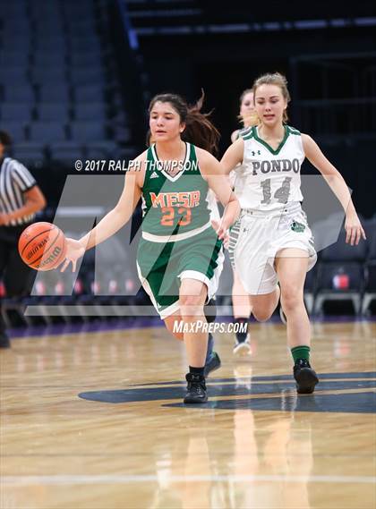 Thumbnail 2 in Mesa Verde vs. Ponderosa (@Golden One Center) photogallery.