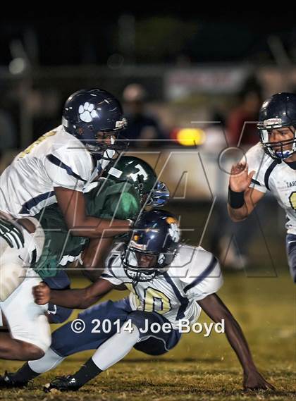 Thumbnail 3 in Tarrant @ Tanner photogallery.