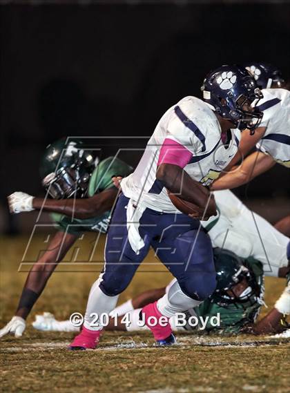 Thumbnail 3 in Tarrant @ Tanner photogallery.
