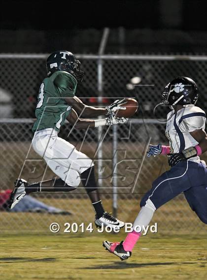 Thumbnail 1 in Tarrant @ Tanner photogallery.
