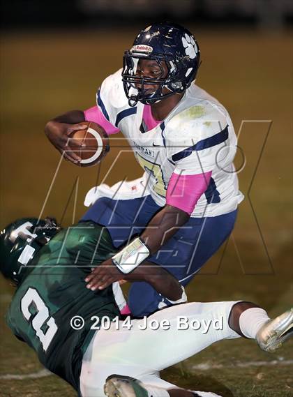 Thumbnail 1 in Tarrant @ Tanner photogallery.