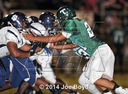 Thumbnail 3 in Tarrant @ Tanner photogallery.