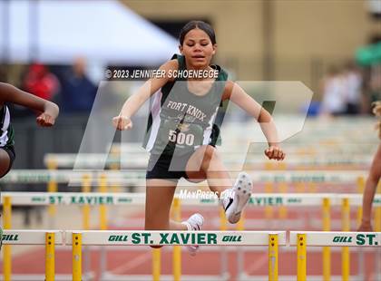Thumbnail 1 in Brother Borgia Meet (Hurdles) photogallery.