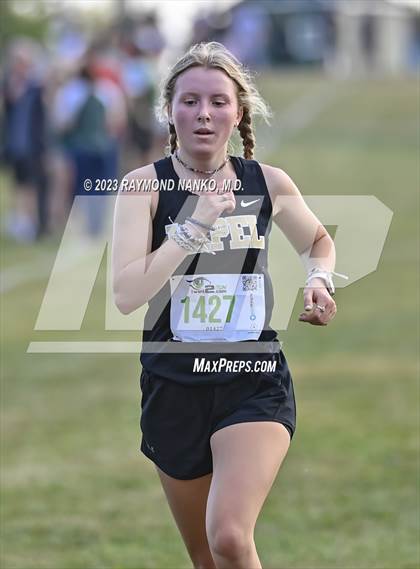 Thumbnail 2 in Madison County Meet photogallery.