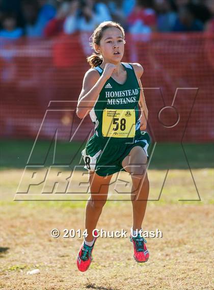 Thumbnail 1 in CIF State Cross Country Championships (D1 Girls Race) photogallery.