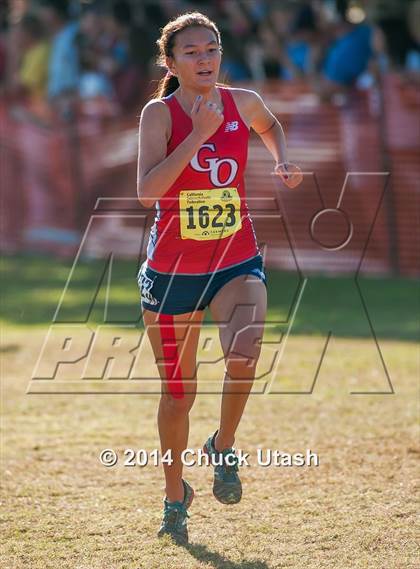 Thumbnail 2 in CIF State Cross Country Championships (D1 Girls Race) photogallery.