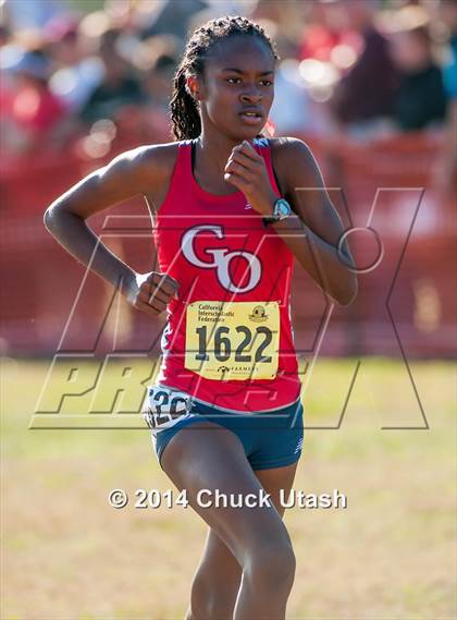 Thumbnail 1 in CIF State Cross Country Championships (D1 Girls Race) photogallery.