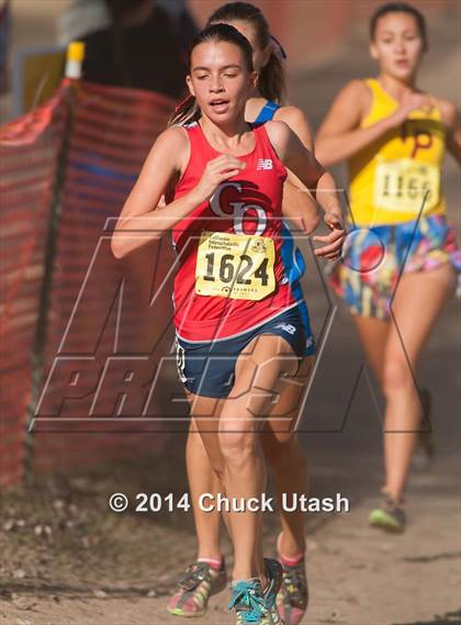 Thumbnail 1 in CIF State Cross Country Championships (D1 Girls Race) photogallery.