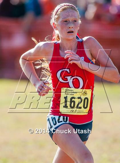 Thumbnail 2 in CIF State Cross Country Championships (D1 Girls Race) photogallery.