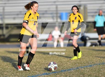 Thumbnail 3 in Pasco @ Hernando (FHSAA 3A Final) photogallery.