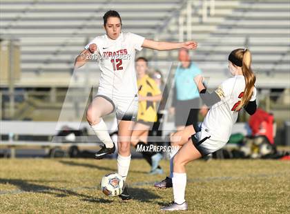 Thumbnail 3 in Pasco @ Hernando (FHSAA 3A Final) photogallery.