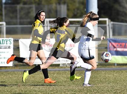Thumbnail 3 in Pasco @ Hernando (FHSAA 3A Final) photogallery.
