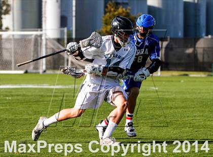 Thumbnail 1 in Serra @ Bellarmine photogallery.