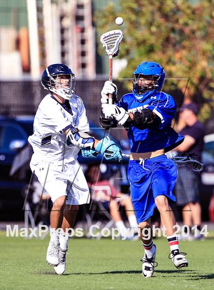 Thumbnail 1 in Serra @ Bellarmine photogallery.