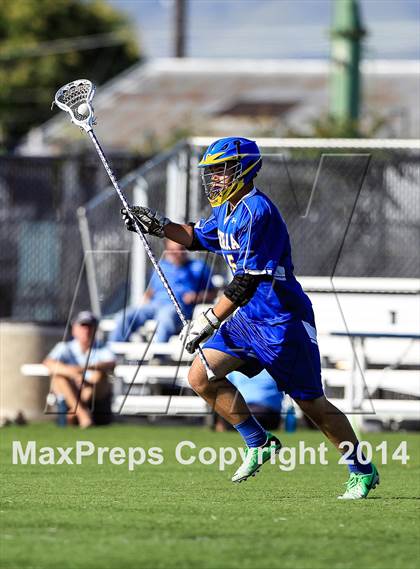 Thumbnail 1 in Serra @ Bellarmine photogallery.