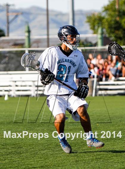 Thumbnail 2 in Serra @ Bellarmine photogallery.