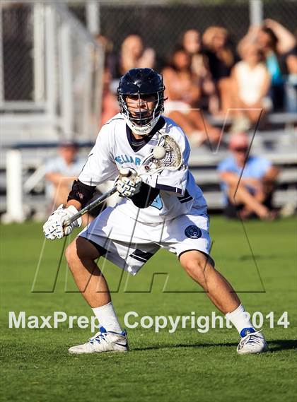 Thumbnail 2 in Serra @ Bellarmine photogallery.