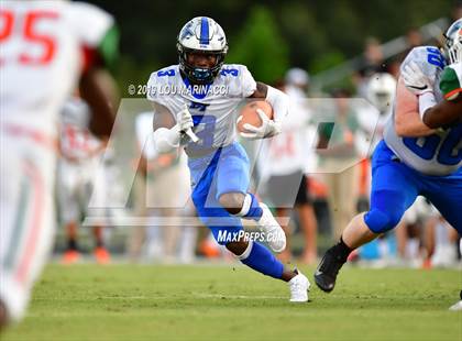 Thumbnail 1 in Mandarin @ Bartram Trail photogallery.