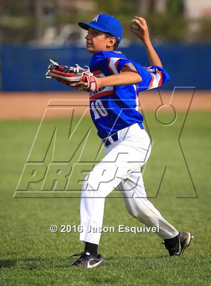Thumbnail 2 in Los Altos vs. Northview photogallery.