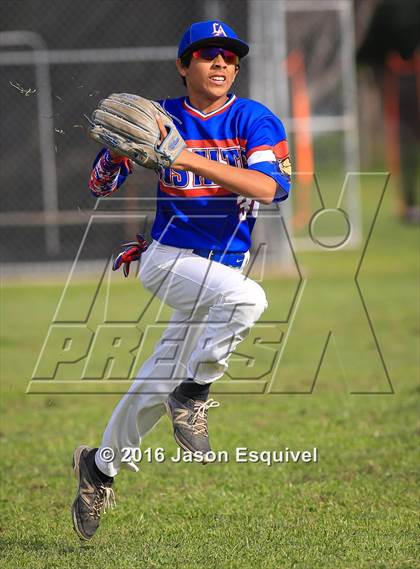 Thumbnail 3 in Los Altos vs. Northview photogallery.